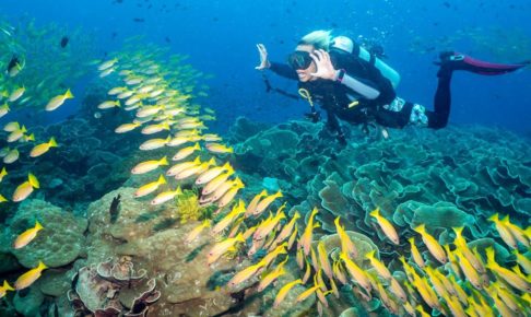 大学を5年生で中退したバンドマンが、遠回りの末に見つけた天職とは