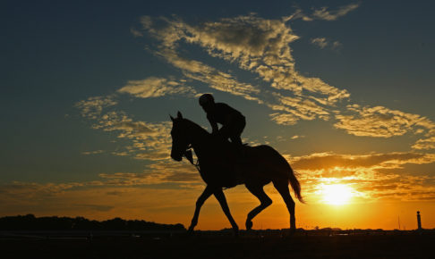 世界一美しいバレーボール選手・サビーナ、馬を乗りこなして荒野を颯爽と駆ける