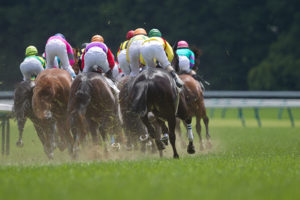 【安田記念／馬場情報】東京は「芝:良／ダ:重」でスタート、午後のレースで馬場コンディションをチェック