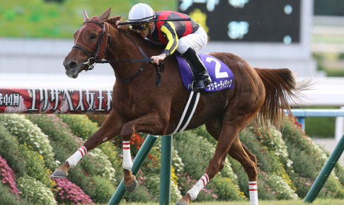 【競馬】エリザベス女王杯 ラッキーライラック騎乗のルメール騎手にとって『不吉』なデータとは 【競馬】エリザベス女王杯 ラッキーライラック騎乗のルメール騎手にとって『不吉』なデータとは
