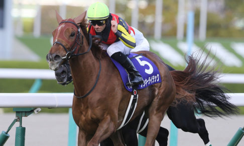 【競馬】フィエールマンやラッキーライラックなど この冬にターフを去る名馬たち 【競馬】フィエールマンやラッキーライラックなど この冬にターフを去る名馬たち