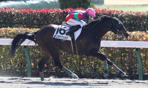 東京競馬史上1位の3連単2073万円オーバー出た！JRAでは史上5位