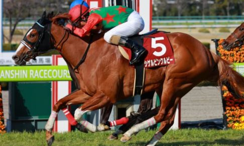 【フィリーズR】8番人気シゲルピンクルビーが重賞初V