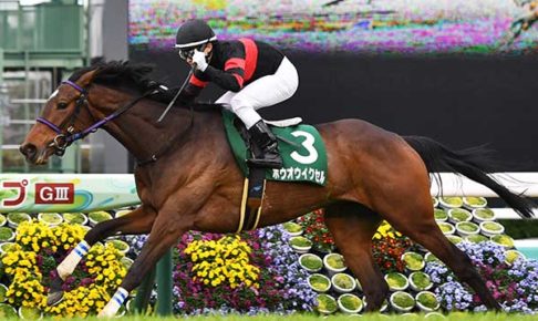 【フラワーＣ】５番人気ホウオウイクセルが勝利