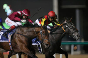 【ドバイシーマＣ】クロノ＆ラヴズは２、３着に惜敗　１４年ジェンティル以来の日本馬Ｖならず