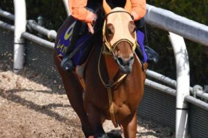 【大阪杯】レイパパレ　坂路で躍動「満足のいく仕上がり」無傷6連勝でG1初Vへ