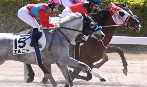 女性ジョッキー3人が初対決 古川奈穂が最先着の4着 女性ジョッキー3人が初対決 古川奈穂が最先着の4着