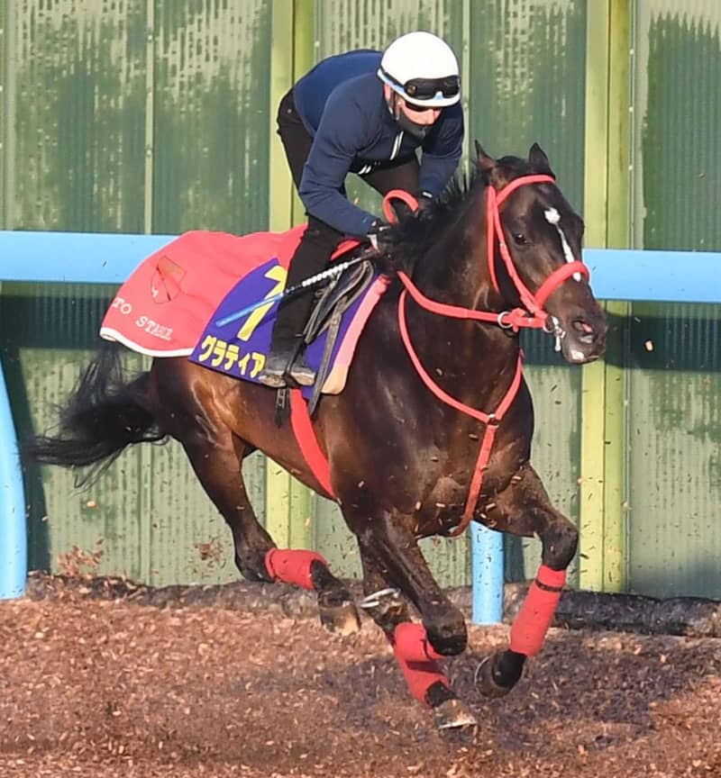 【皐月賞】グラティアス最少キャリアVだ M・デムーロが2戦2勝の素質馬導く 【皐月賞】グラティアス最少キャリアVだ M・デムーロが2戦2勝の素質馬導く