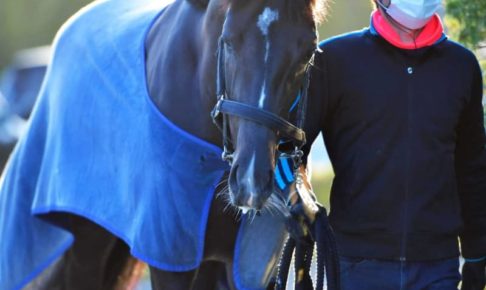 【皐月賞】吉田隼　クラシック2週連続Vへ！ステラヴェローチェ導く　初コンビも心配無用