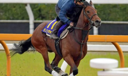 【皐月賞】ダノンザキッド不安一掃！ド迫力フォームで理想的ラップ　安田隆師は太鼓判