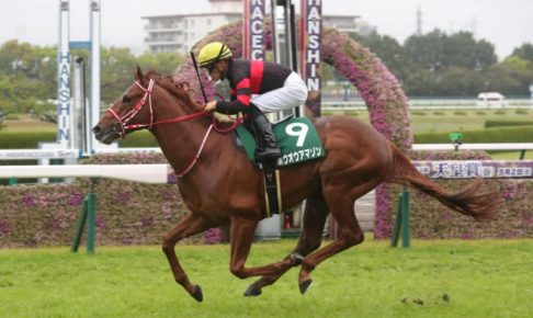 【ＪＲＡ】またまた川田！ アーリントンＣをホウオウアマゾンでＶ「馬っぷり良くなった」