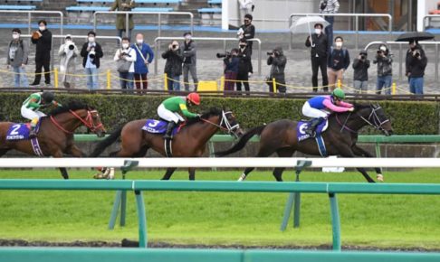 【中山グランドジャンプ】メイショウダッサイが4連勝で新王者！　森一「よく頑張ってくれた」　