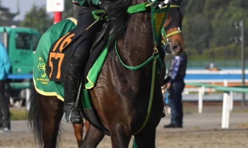 【フローラS】オメガロマンス樫切符獲る　皐月賞Vの横山武を背に姉と同じ舞台へ