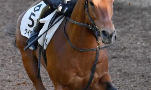 【マイラーズC】ケイデンスコール期待通り　ラスト1Fで鋭い加速！安田隆師も大満足