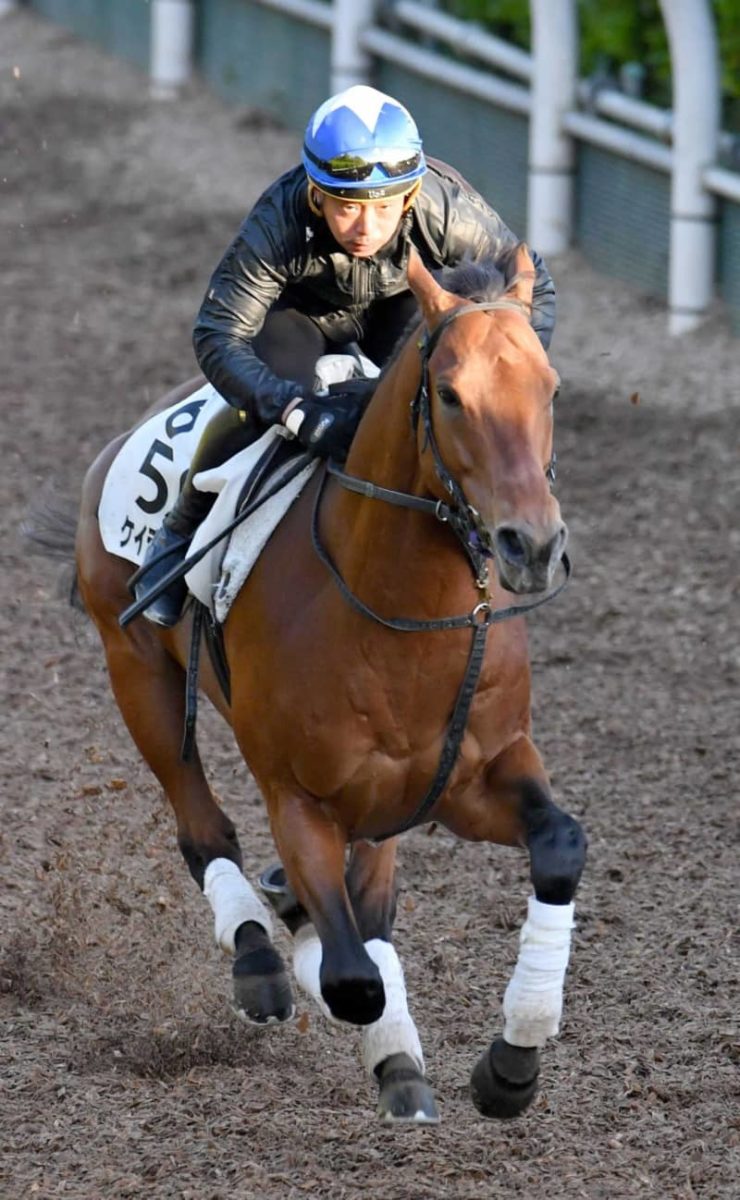 【マイラーズC】ケイデンスコール期待通り　ラスト1Fで鋭い加速！安田隆師も大満足