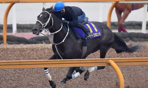 【天皇賞】ディープボンド豪快走！朝一番の栗東CWを大跳び一気　仁川開催は追い風に
