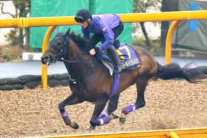 【天皇賞】ワールドプレミア急浮上　一度叩いて上積み十分、19年菊覇者の意地見せる