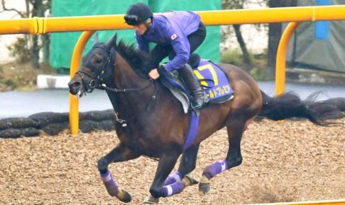 【天皇賞】ワールドプレミア急浮上　一度叩いて上積み十分、19年菊覇者の意地見せる