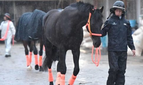 【天皇賞】ディアスティマ下克上だ　今年唯一の阪神3200m勝者がスタミナで驚かせる