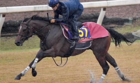 【NHKマイルC】2歳マイル王グレナディアガーズ貫禄 鋭脚発揮で3馬身半先着リハ