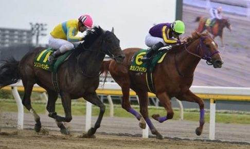 【船橋・かしわ記念】２人気カジノフォンテンが１０年ぶり地方馬Ｖ