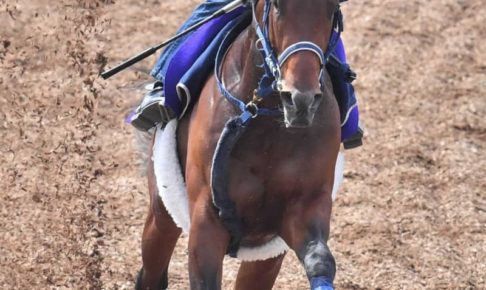 【NHKマイルC】シュネルマイスター楽々2馬身先着　相手強化、左回り問題なし