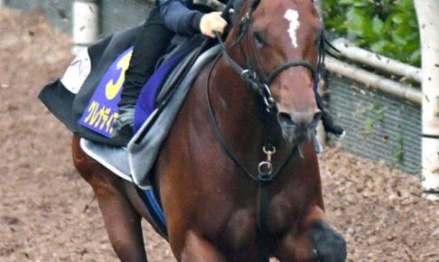 【NHKマイルC】世界的良血馬グレナディアガーズ完璧　指揮官「ポテンシャル無限」