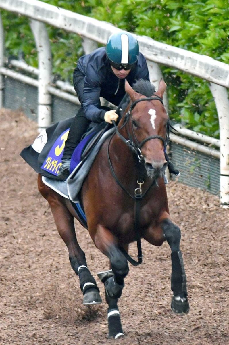【NHKマイルC】世界的良血馬グレナディアガーズ完璧　指揮官「ポテンシャル無限」