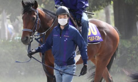 【NHKマイルC】シュネルマイスター　試練の15番枠も手塚師“希望通り”