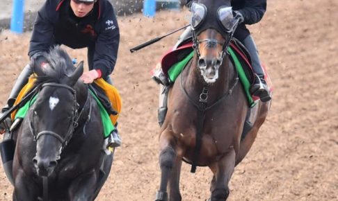 【ヴィクトリアM】グランアレグリアは抜群の手応え　舞台も文句なし