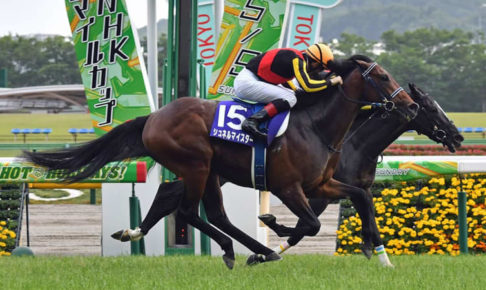 【ＮＨＫマイルカップ】シュネルマイスターがハナ差Ｖ　ルメール「ラスト、２着馬は少しモタれたと思います」