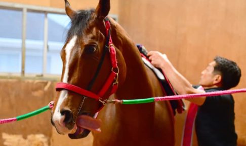 【ヴィクトリアM】レシステンシア折り合い疑惑を裁く　１２００メートル”解禁”後の距離延長は…？