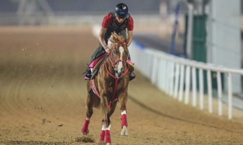 【プリークネスS】米3冠レース挑戦のフランスゴデイナがアメリカ到着「飼食いが落ちることもなく変わりない」