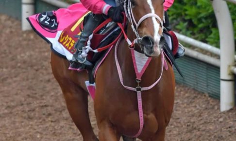 【ヴィクトリアM】レシステンシア制御バッチリ　2つ目タイトルへ申し分なし