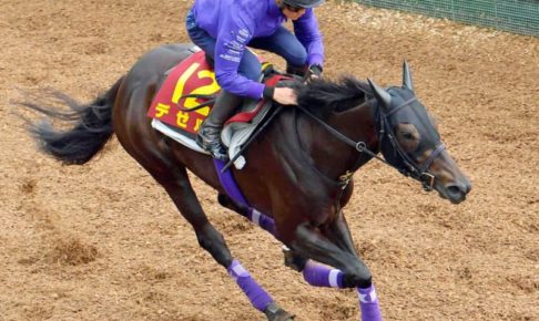 【ヴィクトリアM】デゼルいい感じ　リズム良し！息遣い良し！友道師も胸張る仕上がり