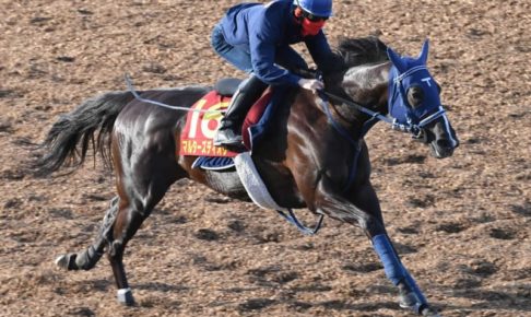 【ヴィクトリアM】マルターズディオサ、得意舞台で逆襲だ　手塚師太鼓判「いい状態」