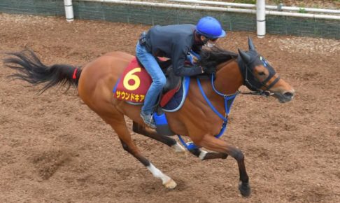 【ヴィクトリアM】サウンドキアラ仕上がりに自信　安達師「順調に来ている」