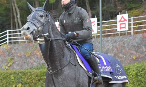 クロノジェネシスはルメールとのコンビで宝塚記念へ　主戦・北村友が負傷のため