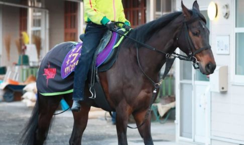 デアリングタクトが右前肢繋靱帯炎　全治は不明で宝塚記念は絶望的