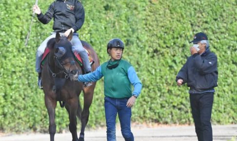 【ヴィクトリアM】グランアレグリア調整よし枠よし　5度目のGIVへ「順調」