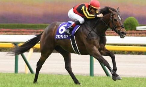 【ヴィクトリアM】1番人気グランアレグリアが完勝