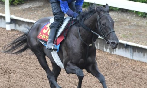 【オークス】クールキャット　未知の距離に血統の裏付け　武豊を背に偉業達成へ