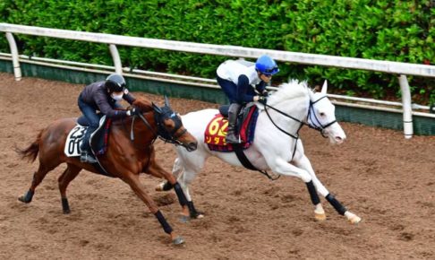 【オークス】ソダシ　清純派2冠へ汚れなき先着　吉田隼「動きはすごく良かった」
