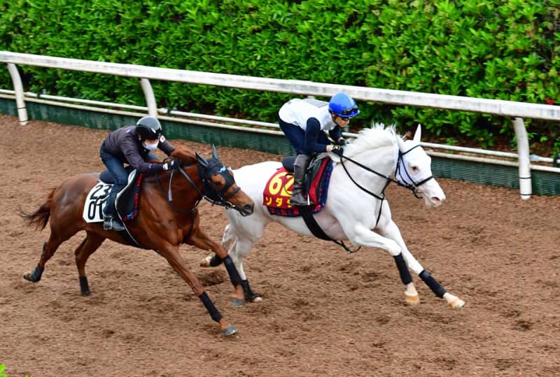【オークス】ソダシ 清純派2冠へ汚れなき先着 吉田隼「動きはすごく良かった」 【オークス】ソダシ 清純派2冠へ汚れなき先着 吉田隼「動きはすごく良かった」