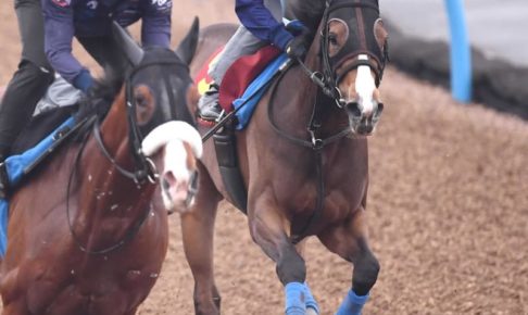 【オークス】アカイトリノムスメ　母アパパネより距離融通利く　国枝師舞台変わり歓迎