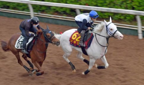 【オークス】ソダシ加速　史上3頭目無敗2冠へ　須貝師、距離克服に自信