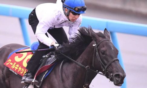 【オークス】武豊“メジロ”の血脈クールキャットで25年ぶりV狙う