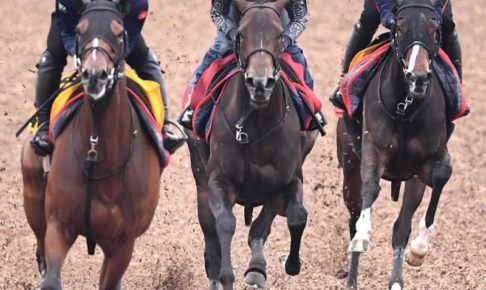 【オークス】ファインルージュ切れ味披露　福永「非常に軽快な動き」