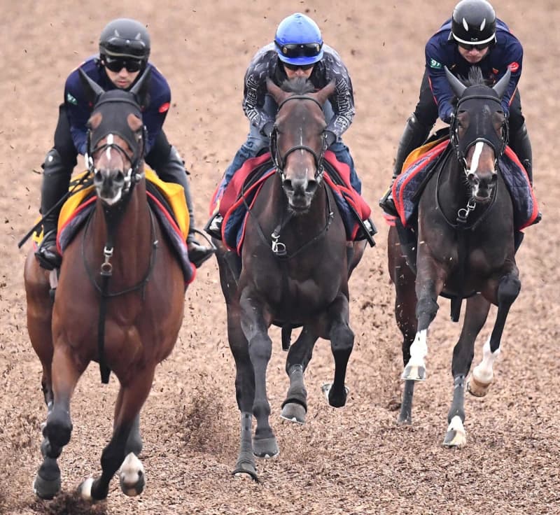 【オークス】ファインルージュ切れ味披露 福永「非常に軽快な動き」 【オークス】ファインルージュ切れ味披露 福永「非常に軽快な動き」