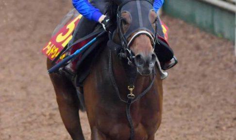 【オークス】アールドヴィーヴル成長感じる動き　今野師「距離が延びるのはいい」